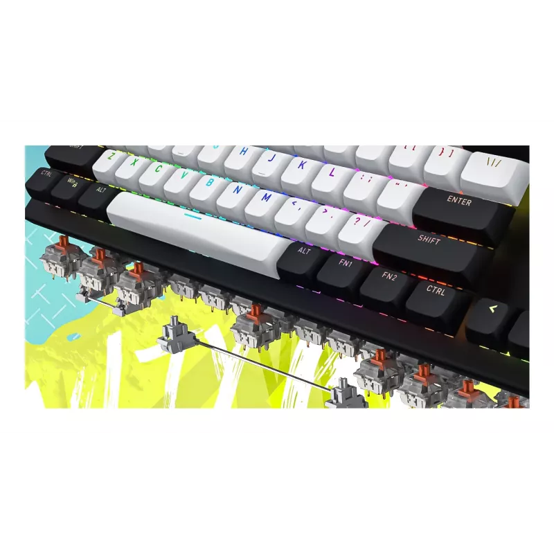 HATOR Gravity TKL toetsenbord gaming USB QWERTY US English wit