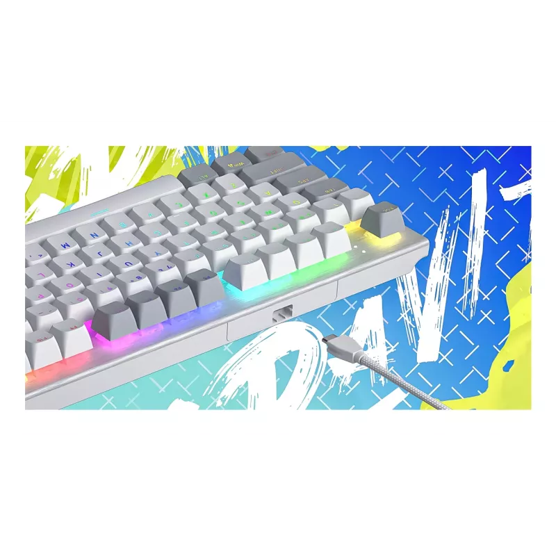 HATOR Gravity TKL toetsenbord gaming USB QWERTY US English wit