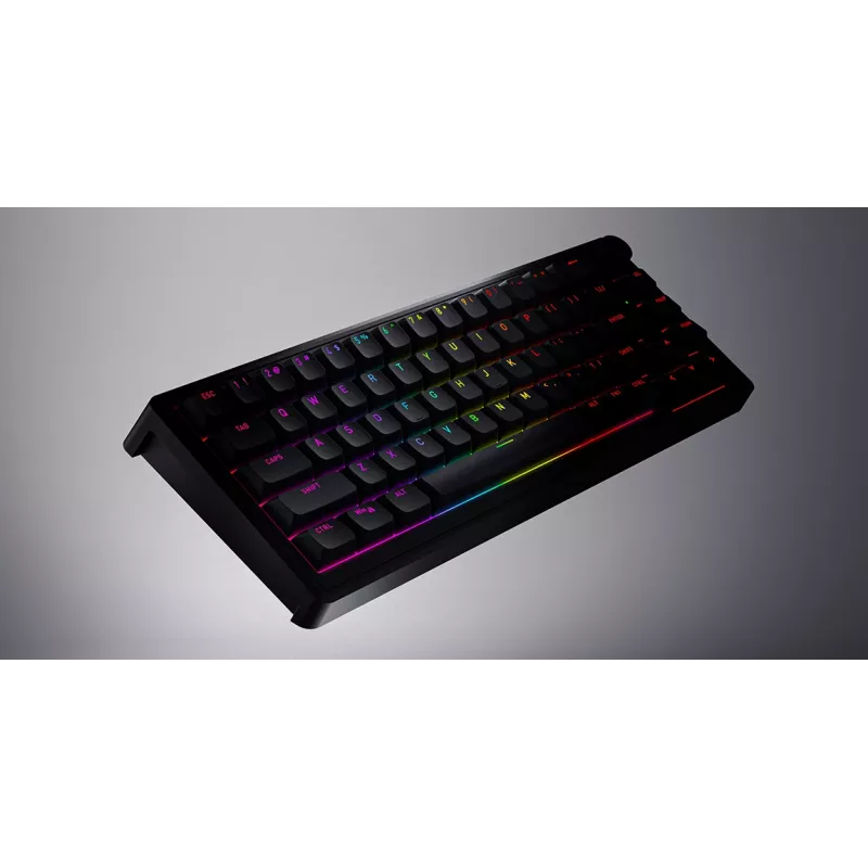 HATOR Skyfall 65 bedraad, mechanisch, USB-C, Aurum Sterling, 70M aanslagen, RGB, zwart, 790g