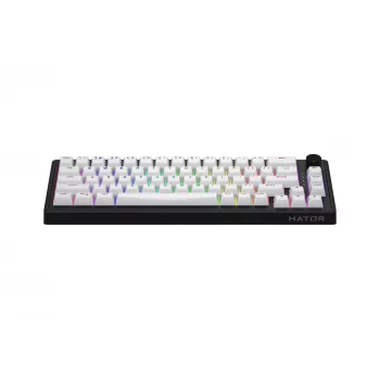 HATOR Skyfall Wireless 65 toetsenbord gaming USB + RF draadloos + Bluetooth QWERTY US Engels zwart, wit