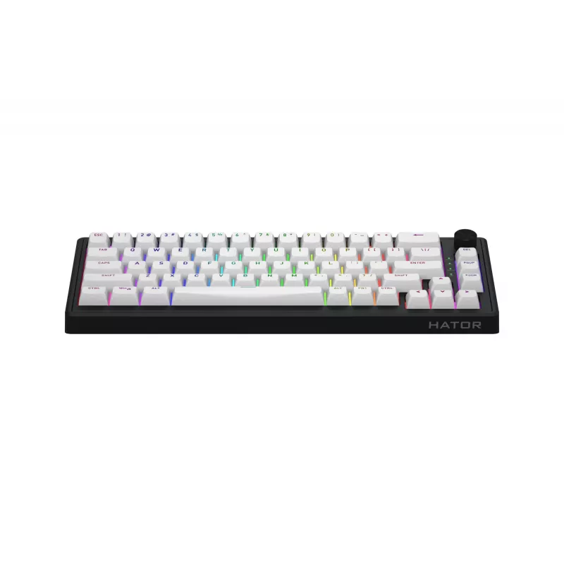 HATOR Skyfall Wireless 65 toetsenbord gaming USB + RF draadloos + Bluetooth QWERTY US Engels zwart, wit