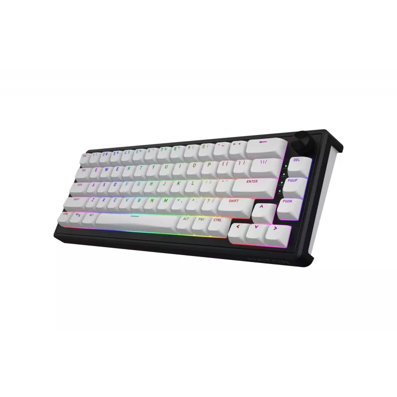 HATOR Skyfall Wireless 65 toetsenbord gaming USB + RF draadloos + Bluetooth QWERTY US Engels zwart, wit