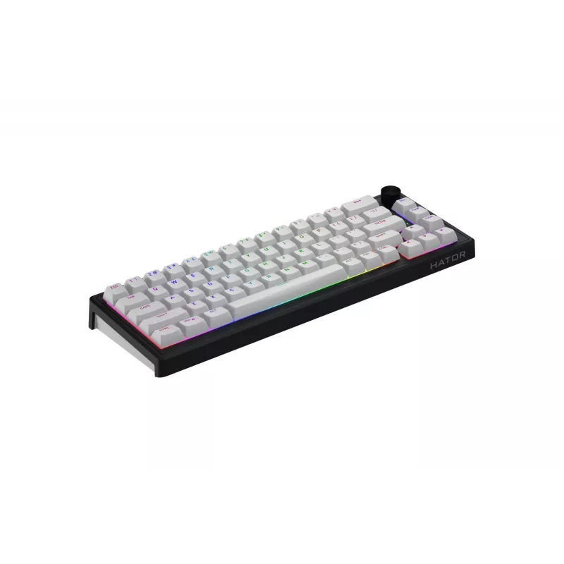 HATOR Skyfall Wireless 65 toetsenbord gaming USB + RF draadloos + Bluetooth QWERTY US Engels zwart, wit