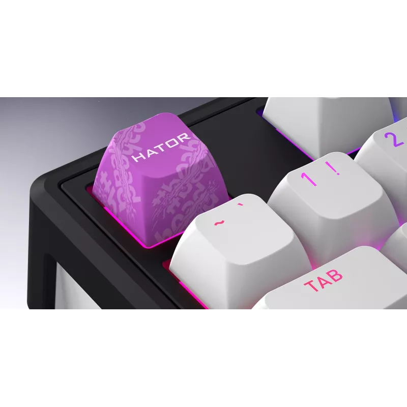 HATOR Skyfall Wireless 65 toetsenbord gaming USB + RF draadloos + Bluetooth QWERTY US Engels zwart, wit