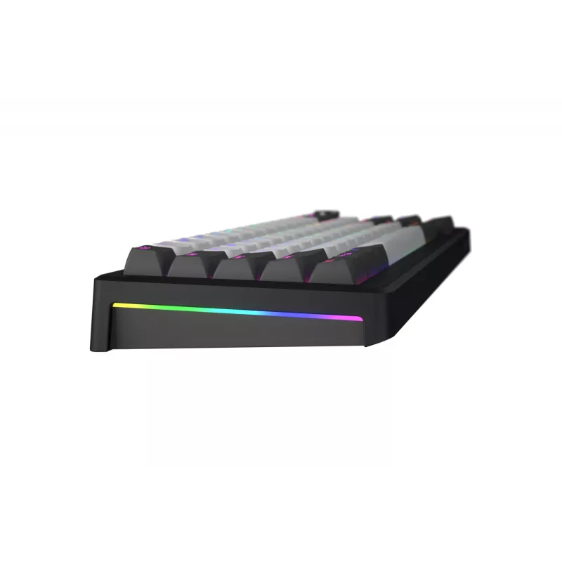HATOR Skyfall Pro Wireless 65 toetsenbord gaming USB + RF draadloos + Bluetooth QWERTY US Engels zwart, grijs