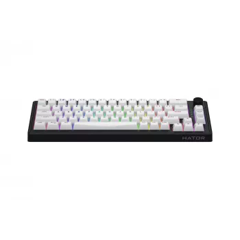 HATOR Skyfall 65 MAG ULTRA 8K toetsenbord gaming USB QWERTY US-Engels zwart, wit