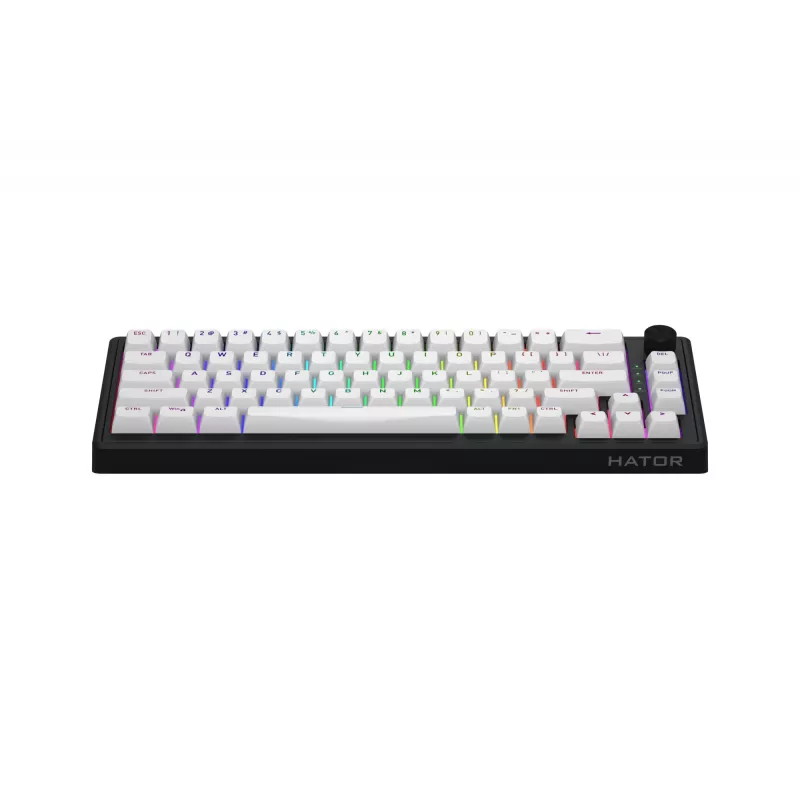 HATOR Skyfall 65 MAG ULTRA 8K toetsenbord gaming USB QWERTY US-Engels zwart, wit