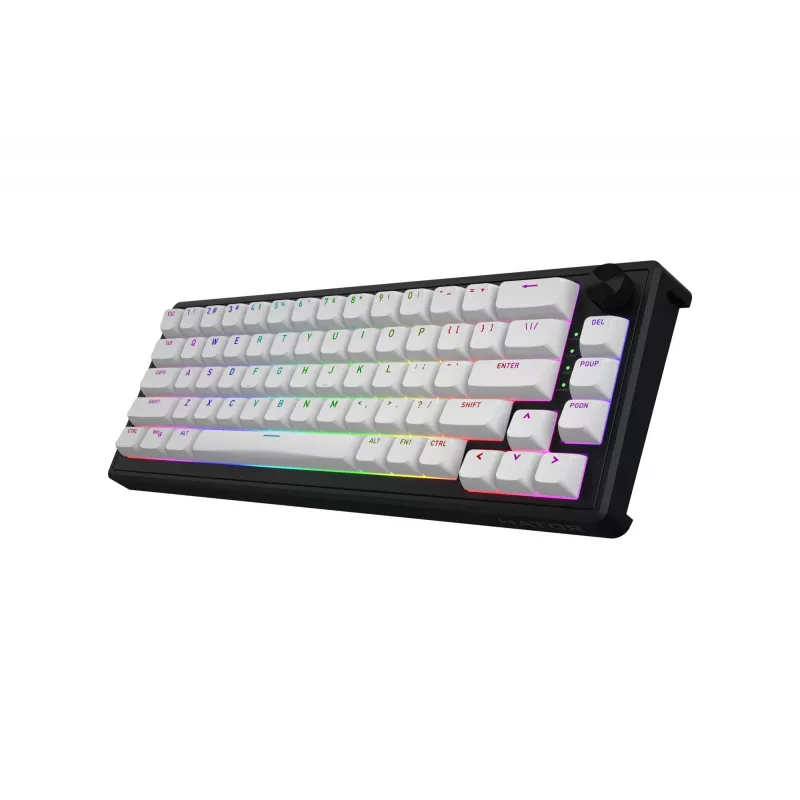 HATOR Skyfall 65 MAG ULTRA 8K toetsenbord gaming USB QWERTY US-Engels zwart, wit