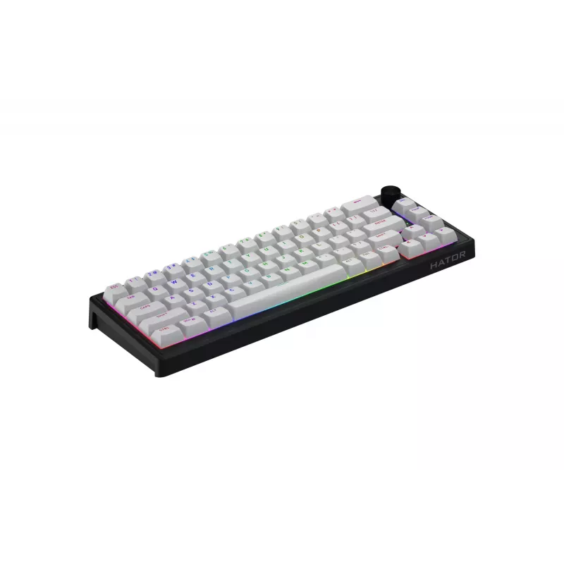 HATOR Skyfall 65 MAG ULTRA 8K toetsenbord gaming USB QWERTY US-Engels zwart, wit
