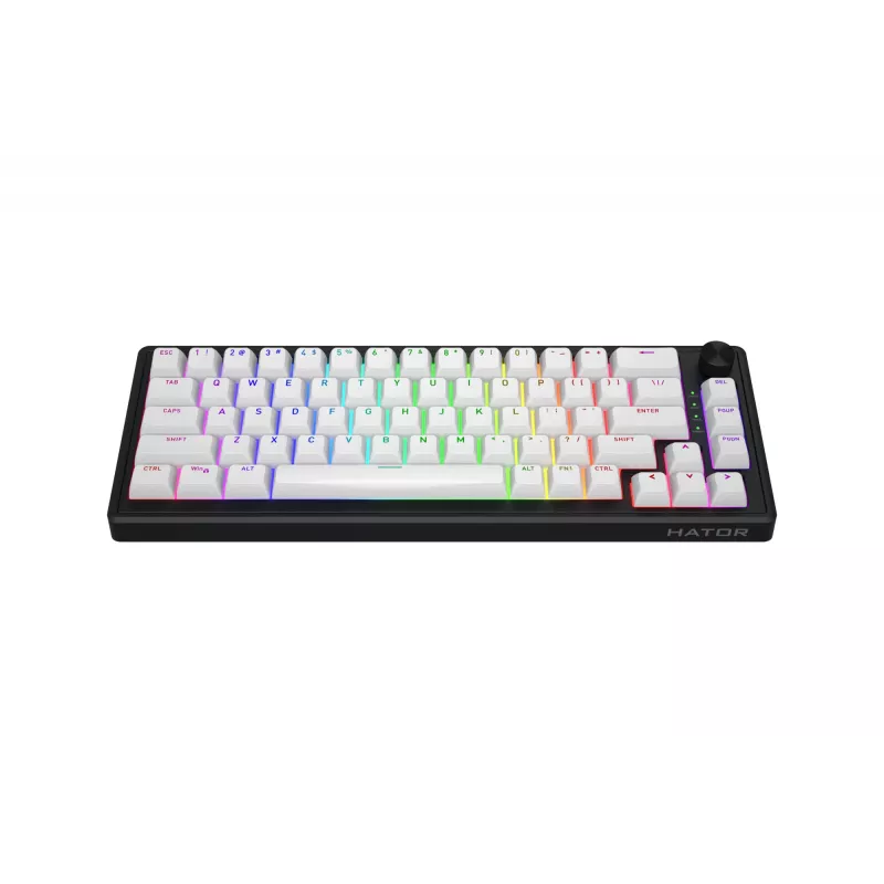 HATOR Skyfall 65 MAG ULTRA 8K toetsenbord gaming USB QWERTY US-Engels zwart, wit