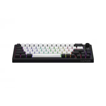 HATOR Skyfall 65 MAG ULTIMA 8K draadloos toetsenbord gaming USB + RF draadloos + Bluetooth QWERTY US Engels zwart, wit
