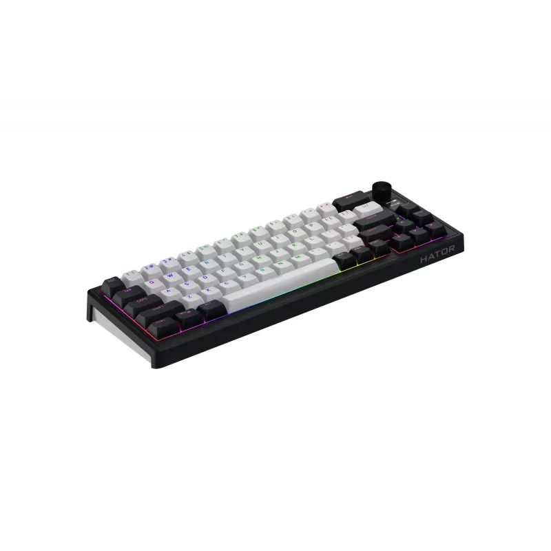 HATOR Skyfall 65 MAG ULTIMA 8K draadloos toetsenbord gaming USB + RF draadloos + Bluetooth QWERTY US Engels zwart, wit
