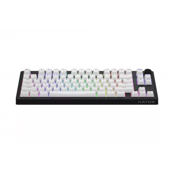HATOR Skyfall 80 MAG ULTRA 8K toetsenbord gaming USB QWERTY US-Engels zwart, wit
