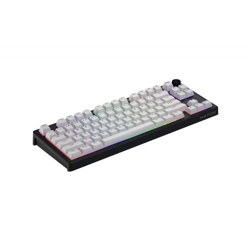 HATOR Skyfall 80 MAG ULTRA 8K toetsenbord gaming USB QWERTY US-Engels zwart, wit