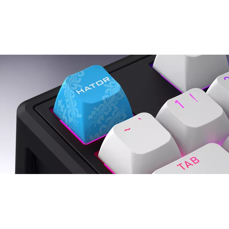 HATOR Skyfall 80 MAG ULTRA 8K toetsenbord gaming USB QWERTY US-Engels zwart, wit
