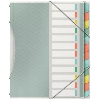 Esselte Colour'Breeze scheidingsregister met 12 tabs, meerkleurig, polypropyleen (PP), 266 mm, 20 mm, 370 g, 1 stuk