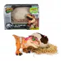 Jurassic World Primal Hatch interactief speelgoed-dinosaurus & ei, uitbroeden & trainen van je eigen babydino met meer dan 100 geluiden & reacties, kinderspeelgoed voor jongens & meisjes vanaf 5 jaar