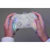 Bekabelde RGB-gaming-controller Turtle Beach Afterglow Wave grijs – USB-C, 3 m kabel, voor Nintendo Switch / Switch 2 / Switch OLED