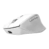 Draadloze rechtshandige bureaumuis TRUST Niven – RF + Bluetooth, 3200 DPI, 7 toetsen, muiswiel, wit