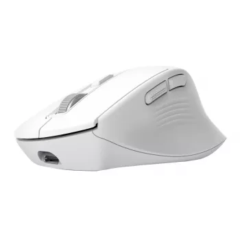 Draadloze rechtshandige bureaumuis TRUST Niven – RF + Bluetooth, 3200 DPI, 7 toetsen, muiswiel, wit