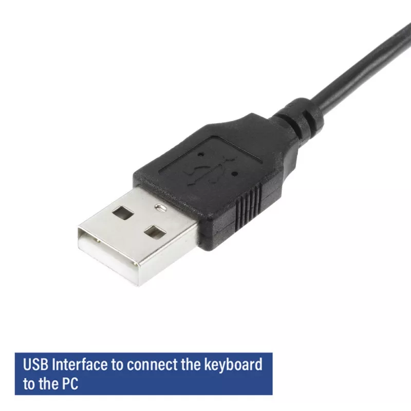 ACT zakelijk toetsenbord USB (Qwerty/US-layout), Full-Size (100%), bedraad, USB, membraan, QWERTY, zwart