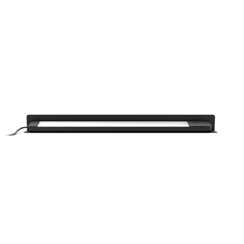 Philips Hue White and colour ambience Amarant lineaire buitenlamp