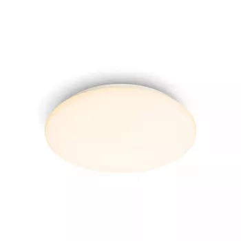 Philips Functional Moire plafondlamp 10 W, LED, vast ingebouwde lichtbron, 2700 K, 1000 lm, IP20, wit