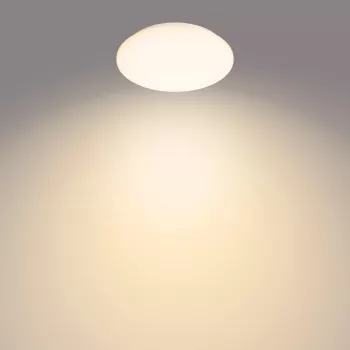 Philips Functional Moire plafondlamp 10 W, LED, vast ingebouwde lichtbron, 2700 K, 1000 lm, IP20, wit