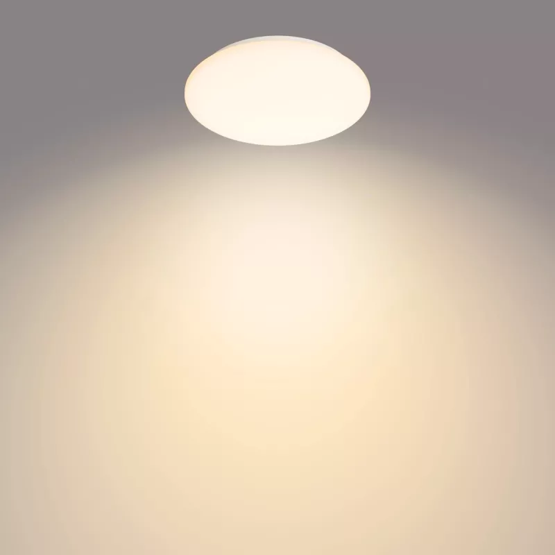 Philips Functional Moire plafondlamp 10 W, LED, vast ingebouwde lichtbron, 2700 K, 1000 lm, IP20, wit