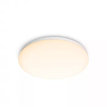 Philips Functional plafondlamp, LED, niet-vervangbare lichtbron, 2700 K, 1700 lm, IP20, wit