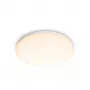 Philips Functional plafondlamp, LED, niet-vervangbare lichtbron, 2700 K, 1700 lm, IP20, wit