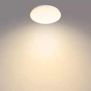 Philips Functional plafondlamp, LED, niet-vervangbare lichtbron, 2700 K, 1700 lm, IP20, wit