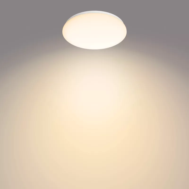 Philips Functional plafondlamp, LED, niet-vervangbare lichtbron, 2700 K, 1700 lm, IP20, wit