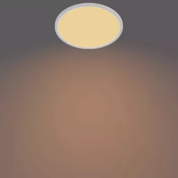 Plafondlamp Philips Functional Super slank 18 W LED, rond, wit, niet-vervangbare lichtbron, 220–240 V