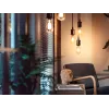 Slimme lamp Philips 1-pack ST72 E27 filament Edison Bluetooth Zigbee