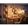 Slimme lamp Philips 1-pack ST72 E27 filament Edison Bluetooth Zigbee