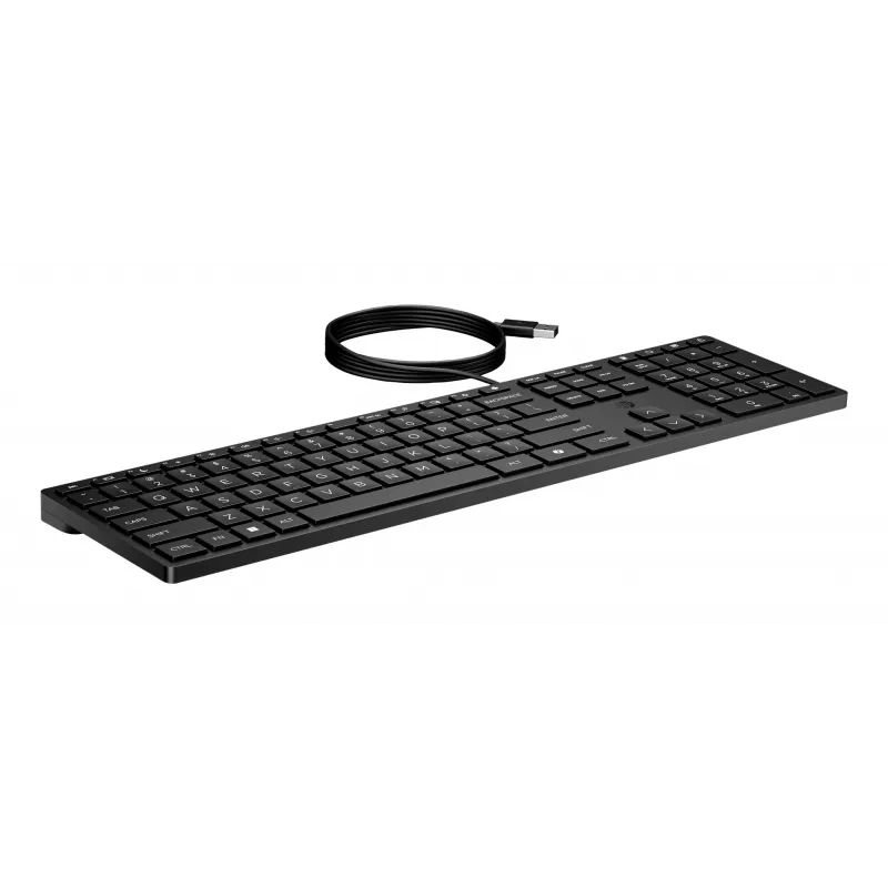 HP Wired Desktop 320K toetsenbord full-size USB zwart 1,8 m kabel