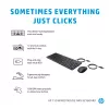 Muis HP 150 bedrade muis en toetsenbord USB