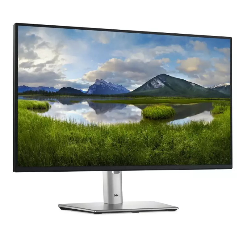 DELL Pro Plus P2425H computermonitor 60,5 cm (23,8 inch) 1920 x 1080 pixels Full HD LCD zwart