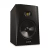 T8V - actieve monitor