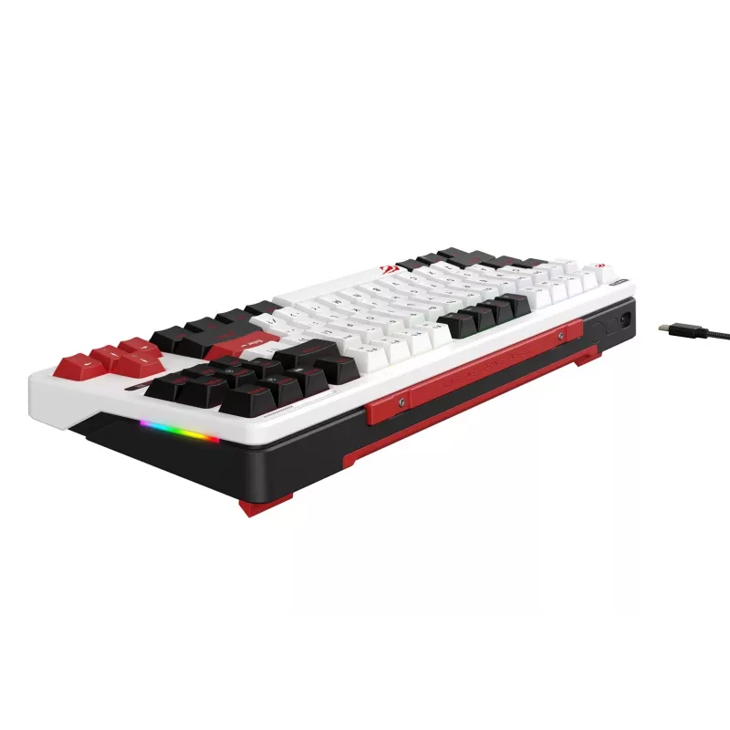 Havit KB902L gaming-toetsenbord 80% bedraad USB QWERTY 88 toetsen RGB LED