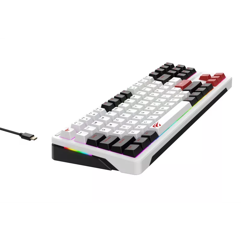 Havit KB902L gaming-toetsenbord 80% bedraad USB QWERTY 88 toetsen RGB LED