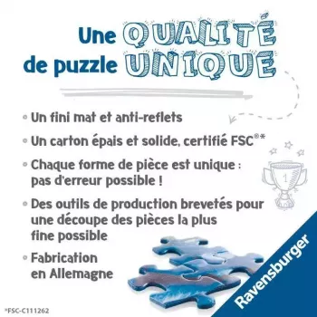 Puzzel Ravensburger 17444 3000 stukjes leeftijd 14-99