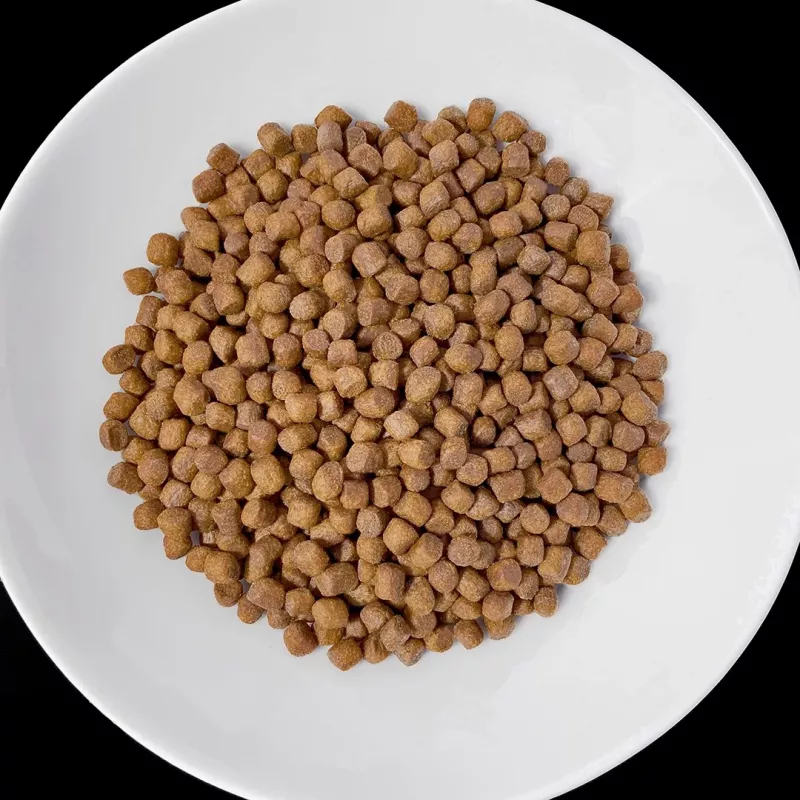 VET RESPONSE Renal - droogvoer voor honden - 1,6 kg