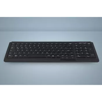 Active Key AK-7000 toetsenbord universeel USB QWERTY US International zwart