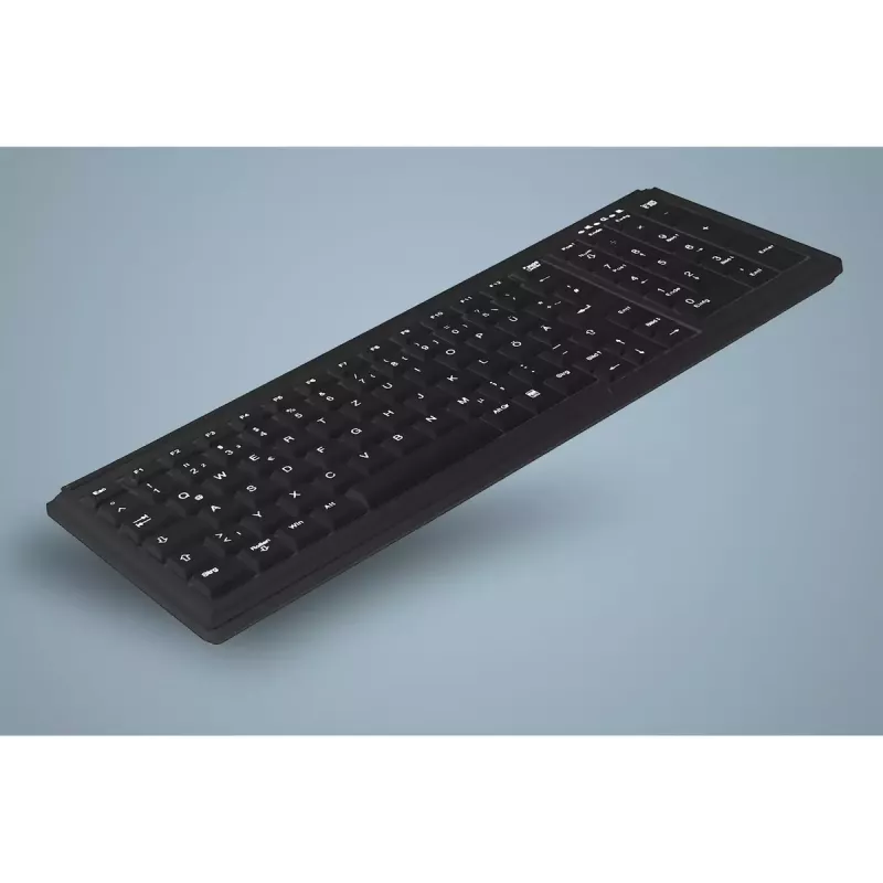Active Key AK-7000 toetsenbord universeel USB QWERTY US International zwart
