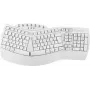 Perixx 11615 toetsenbord RF draadloos + Bluetooth QWERTZ Frans - Duits - Spaans - UK Engels - US Engels wit (PERIBOARD-612W DE)
