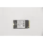 Lenovo 5SS0V42253 interne solid state drive M.2 256 GB PCI Express (5SS0V42253)