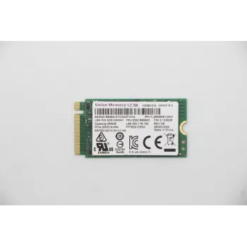 SSD Lenovo 256GB PCIe 2242 M.2 5SS1B60643