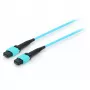 Equip Pro - Patchkabel - MTP Multimode (W) - MTP Multimode (W) - 15,0 m - Glasvezel - 50/125 micrometer - OM4 - Aquamarijn (25555707)
